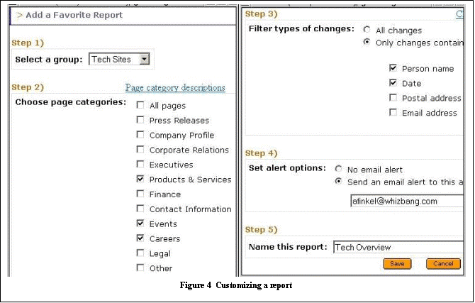 Text Box:  Figure 4  Customizing a report