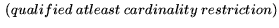 $\displaystyle \ (qualified \ atleast \ cardinality \ restriction)$