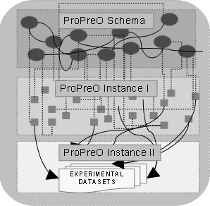 he figure illustrates the two levels of instance base of ProPreO.