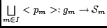 ${\underset{{m \in I}}{\bigsqcup}}<p_m>:g_m \rightarrow
\mathcal{S}_m$