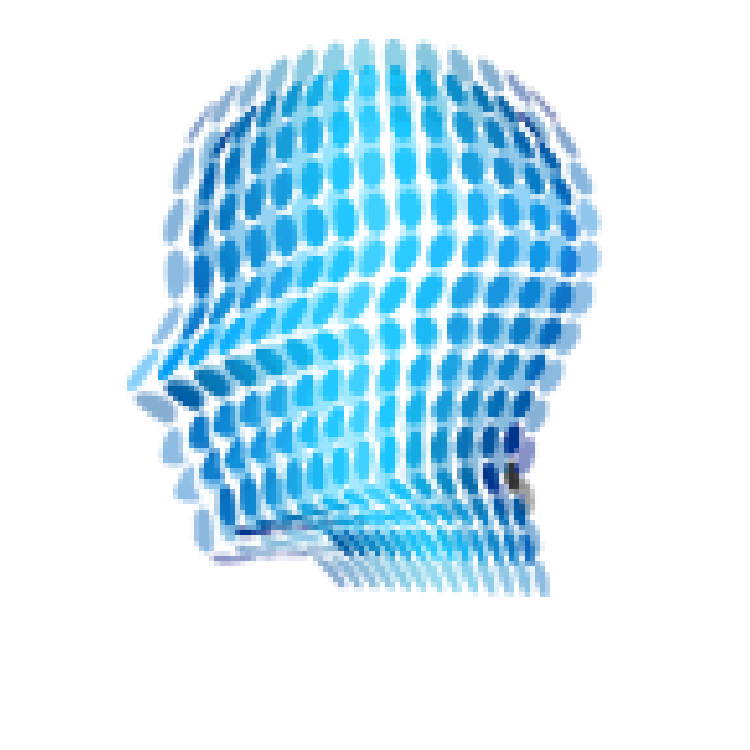 BIG2017