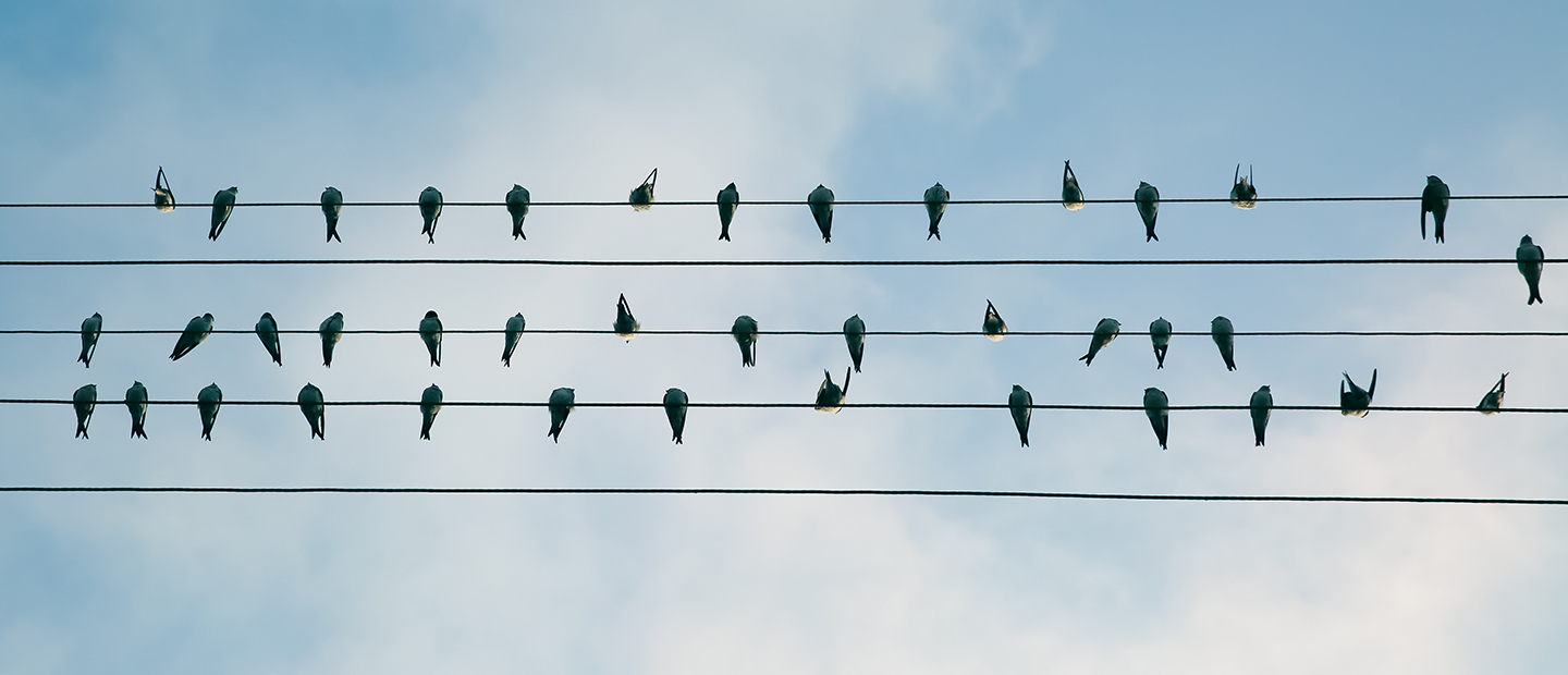 THE WEB CONFERENCE 2019: DESIGNING AN ETHICAL WEB