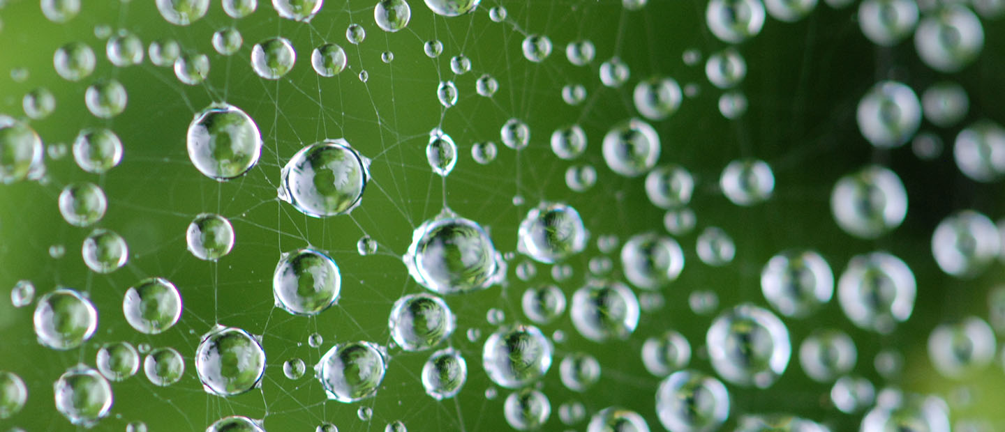 THE WEB CONFERENCE 2019: THE WEB OF HEALTH