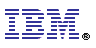 [IBM]