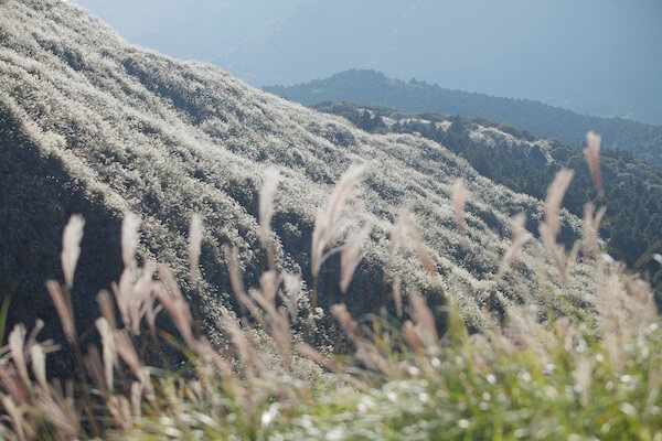 Yangmingshan